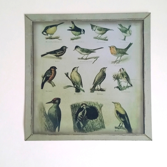 Sweet Bird Themed Metal Sign - Picture 4 of 7